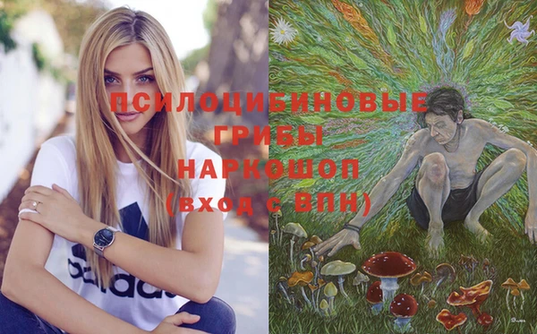 синтетический гашиш Белокуриха